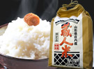 蔵人米 ひとめぼれ