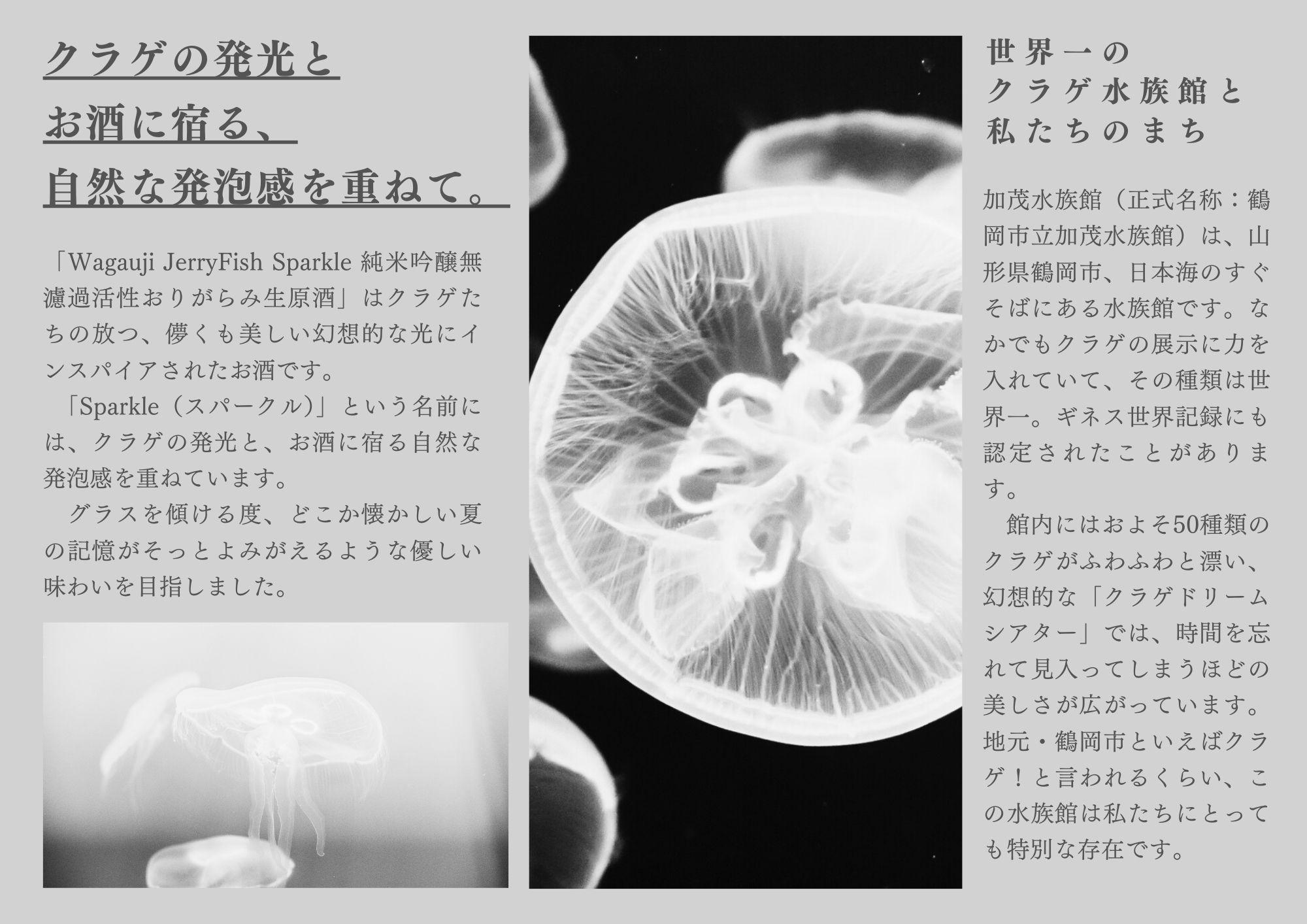 JerryFish Sparkle_企画書.jpg
