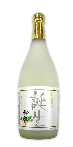 初孫(はつまご) 本醸造 誕生 全体画像