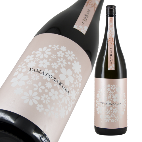 やまと桜 純米酒 やまと秋桜 限定品 