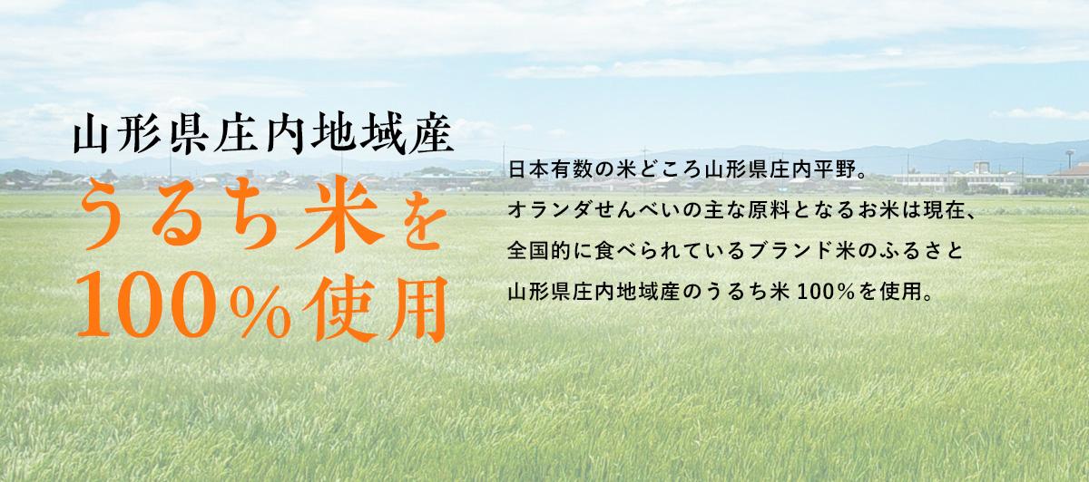 日本有数の米どころ山形県庄内平野。オランダせんべいの主な原料となるお米は現在、全国的に食べられているブランド米のふるさと山形県庄内地域産のうるち米1000%を使用。