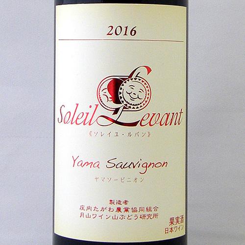 ソレイユ・ルバン ヤマソービニオン 辛口 赤
